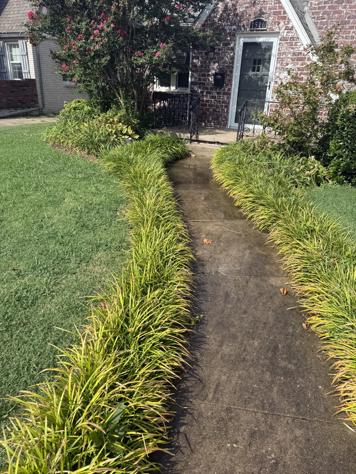 Before: buildup on the cottage’s front walkway